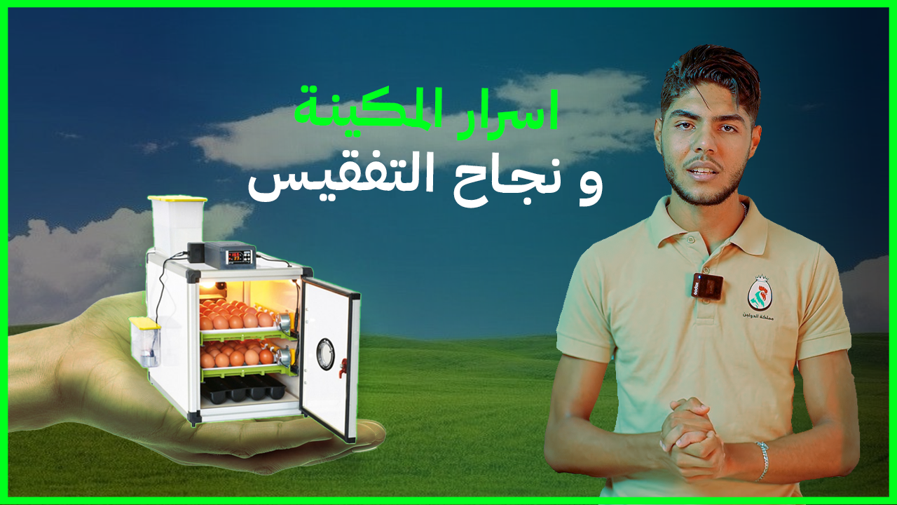 الفقّاسة: السرّ إلي ينجّح مشروعك !